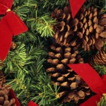 Garden Club Of Marlton annual Holiday Luncheon-Fundraiser on Dec. 11, deadline for tickets Dec. 8