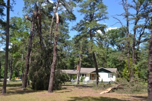 Storm leaves long-lasting destruction