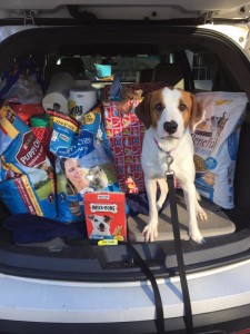 Joe Joe’s Place dog ambassador visits Tabernacle Elementary School