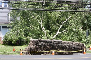 Storm leaves long-lasting destruction