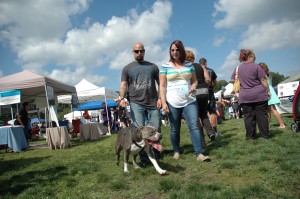 Woofstock Festival for Voorhees Animal Orphange on Oct. 3