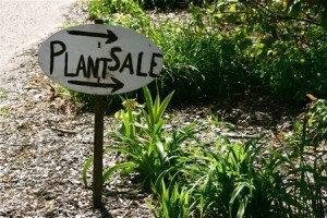 Mt. Laurel Garden Club holding annual plant sale on April 26