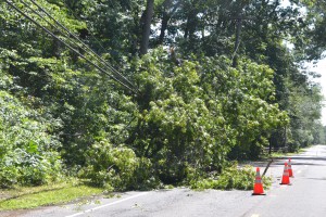 Storm leaves long-lasting destruction