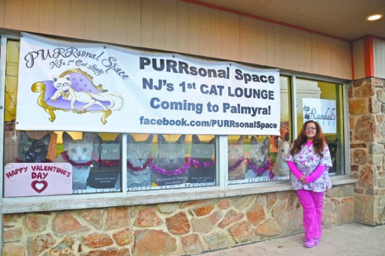 Weekly Roundup: Cat lounge, Palmyra Improvement Association top this week’s stories