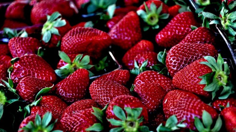 Annual Strawberry Social Moves Indoors for 2017