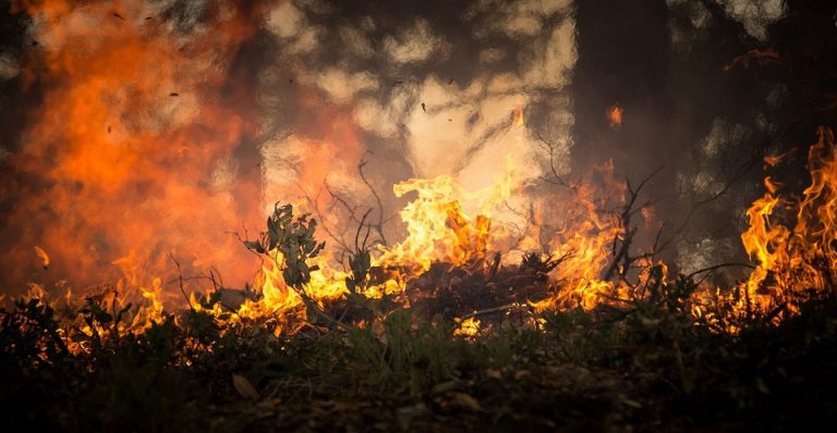 Forest Fire Blazes Across Wharton State Forest