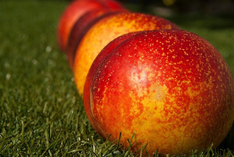 Peach Festival celebrates more than 40 years