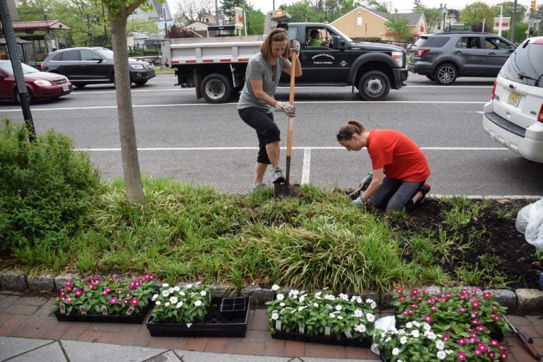 Clean-Up Day volunteers worked to weed out Palmyra’s image problem