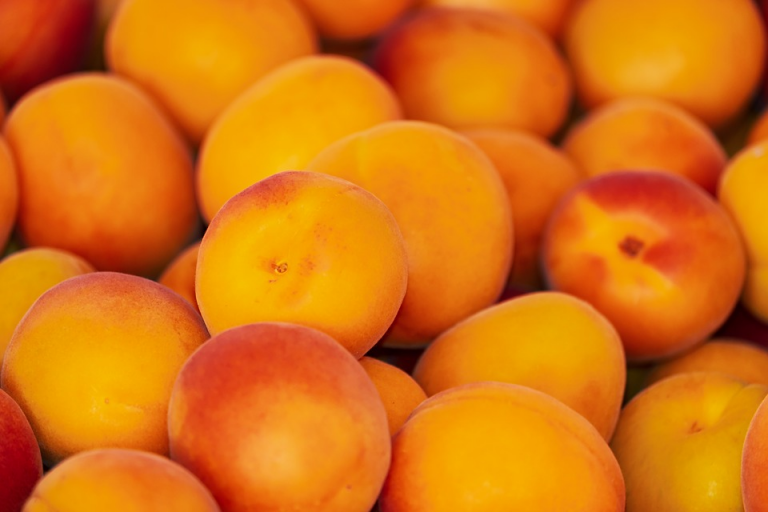 Peaches purchase will benefit underserved children in Voorhees