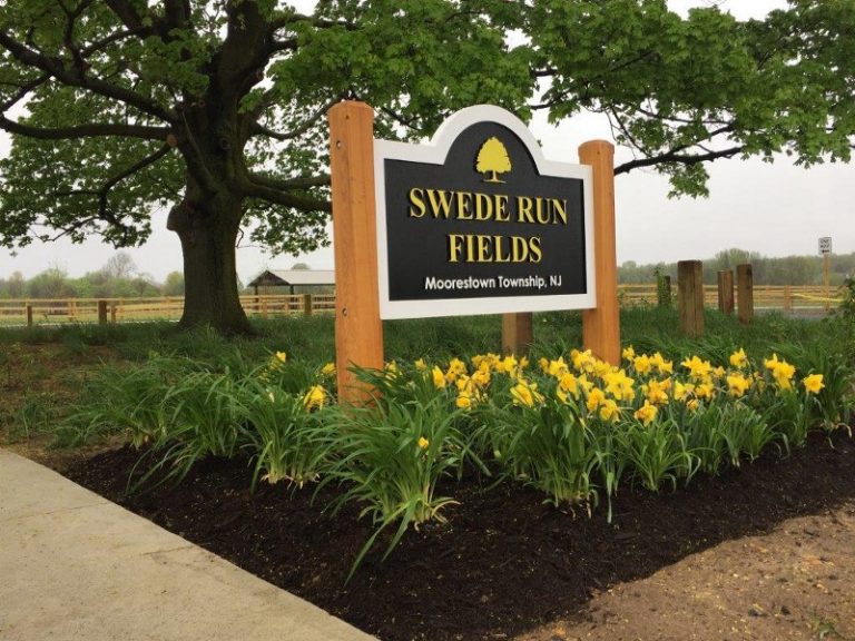 Barks and recreation: Swede Run Fields sees third summer