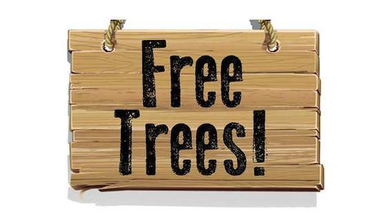 Evesham Green Team to give away free tree seedlings on April 14