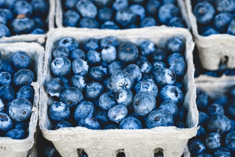 Moorestown’s Trinity Episcopal to hold 10th annual Blueberry Festival on Friday, June 16
