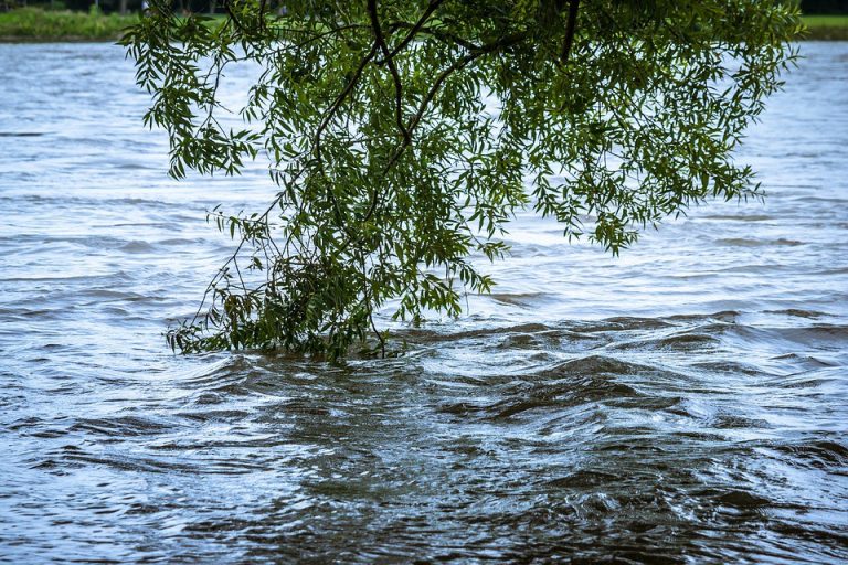 Flash Flood Watch issued for Pinelands area