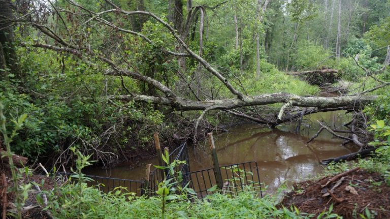 Potential Pipeline Problems