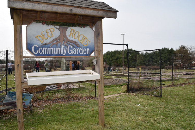 Deep Roots Community Garden in Voorhees open to Voorhess and Marlton residents