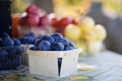 The Burlington County Agricultural Center in Moorestown to host Farmers Market