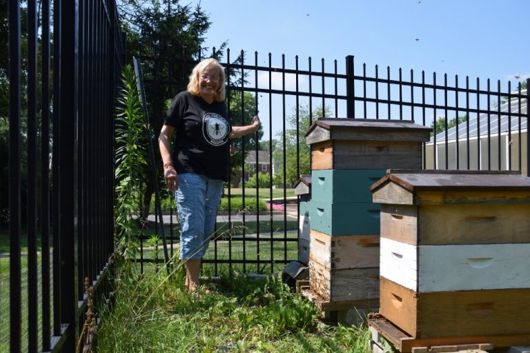 Lou Naylor’s pollinator efforts are making a buzz in Moorestown