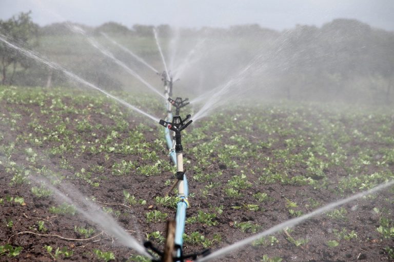 Monroe Township Council introduces new ordinance regarding irrigation system