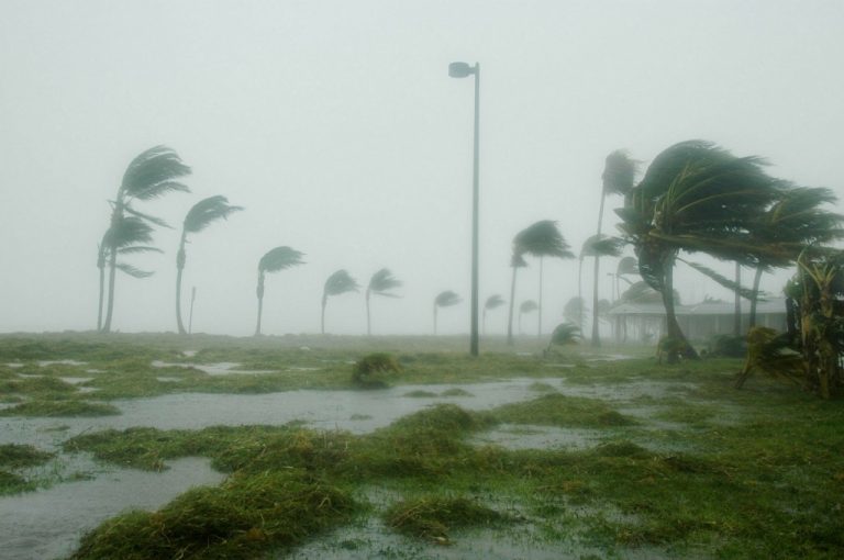 Sun Editorial: Helping hurricane victims