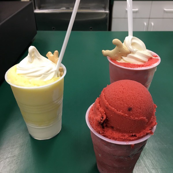 Small Business Saturday: Diane’s Water Ice offers a twist on an old treat