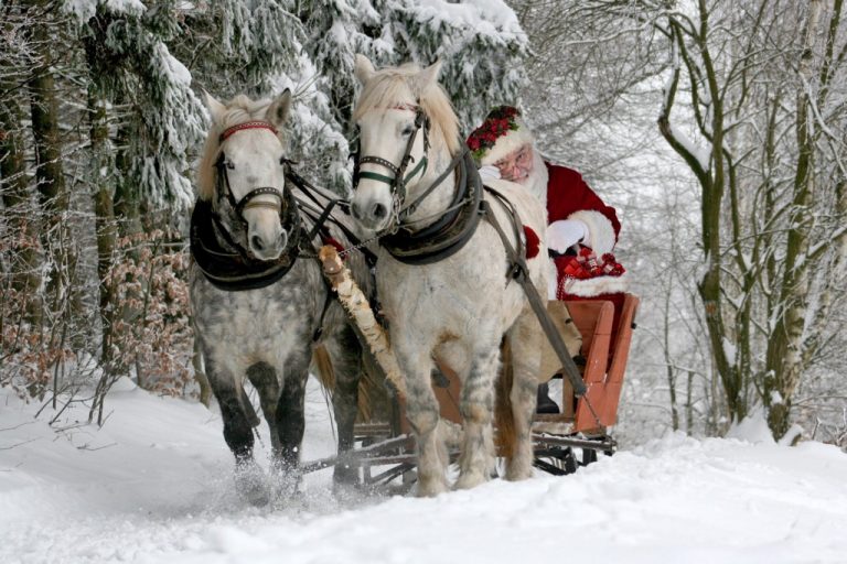 Look out for Santa at Rancocas Nature Center’s SantaQuest