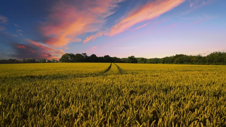 Burlington County preserves two new farms