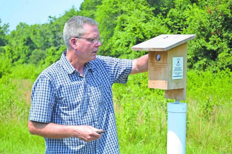 New Jersey Bluebird Society wants to see population soar