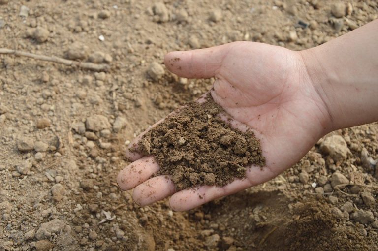 Evesham Green Team to hold event teaching residents how to compost at home on May 30