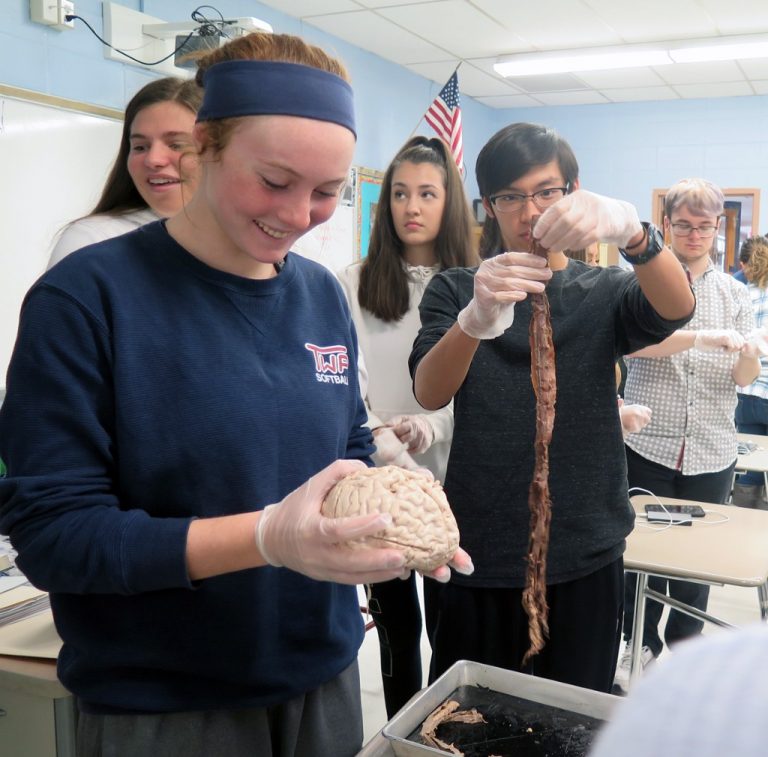 Brain donation gives WTHS AP psychology students an appreciation of what they’re studying