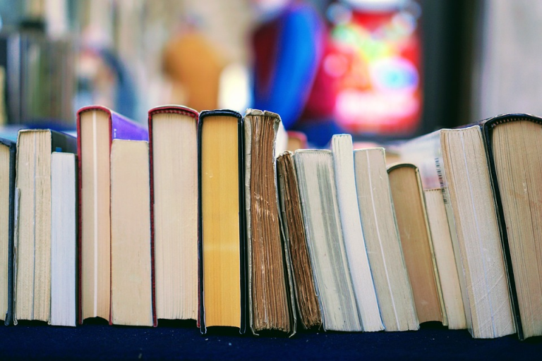 Camden County Library’s biggest fall book sale set for Oct. 18 through 21