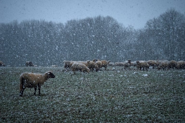 Weather advisory issued for Burlington County