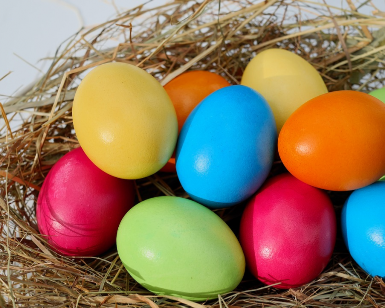 Burlington County officials partner with nonprofit for Easter egg hunt for special needs children