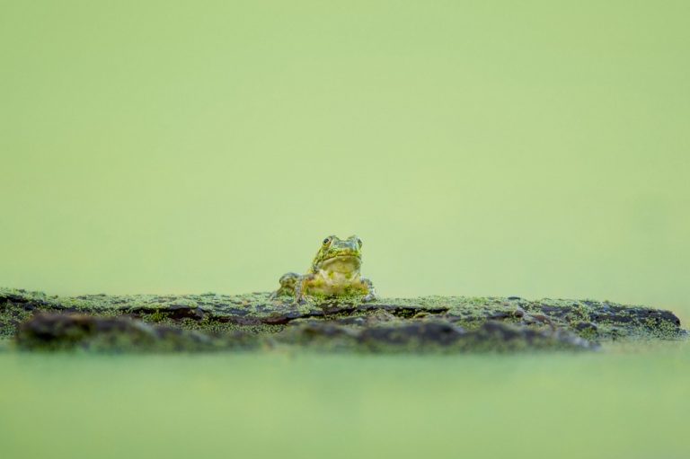 Local photographer to host open reception at Palmyra Cove Nature Park