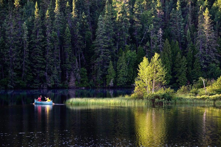 Camp Firefly bringing light to dark times