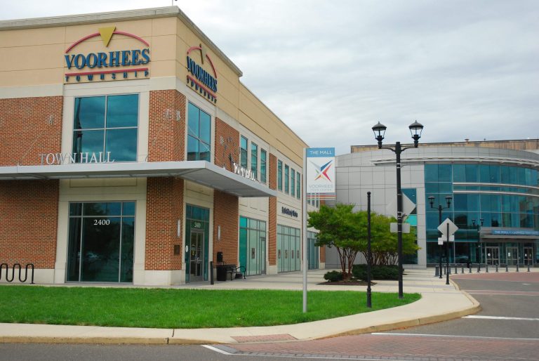 IHOC Mall Walk at the Voorhees Town Center this weekend