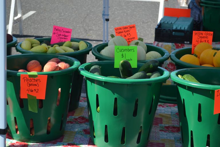 Marlton Farmers Market grows food, fun and community on opening day