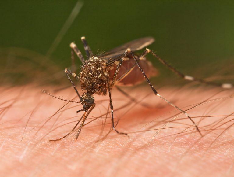 Mosquito spraying in Cherry Hill on Friday