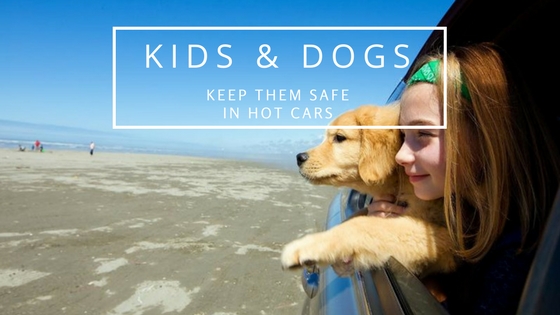 Kids and pets trapped in hot cars always a preventable situation