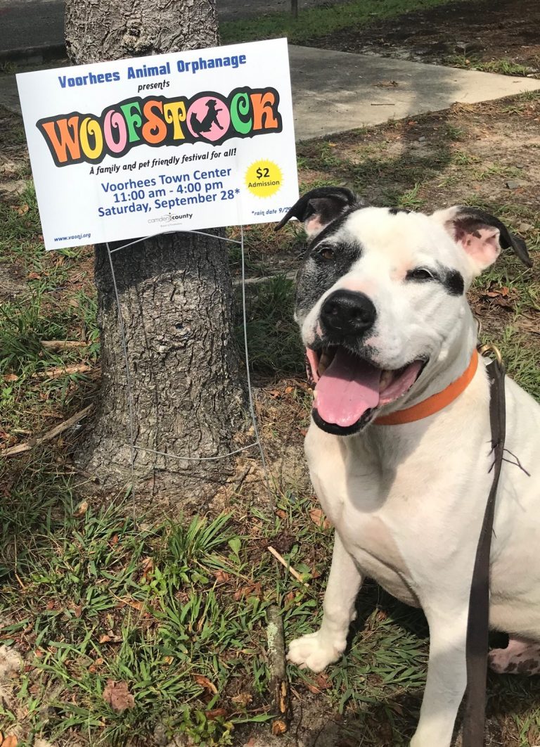 VAO ready for 23rd annual Woofstock Festival