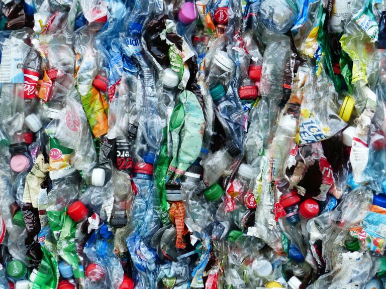 County approves single-use plastics ban