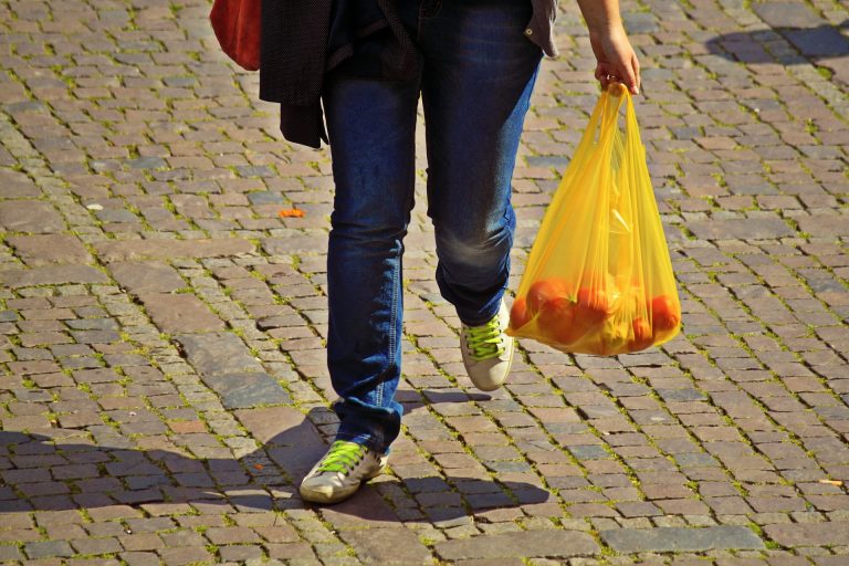 MHS freshman proposes local ban on plastic bags, straws