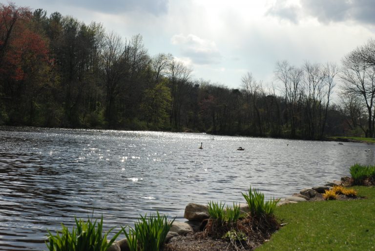 Remediation work related to Kirkwood Lake halted due to COVID-19