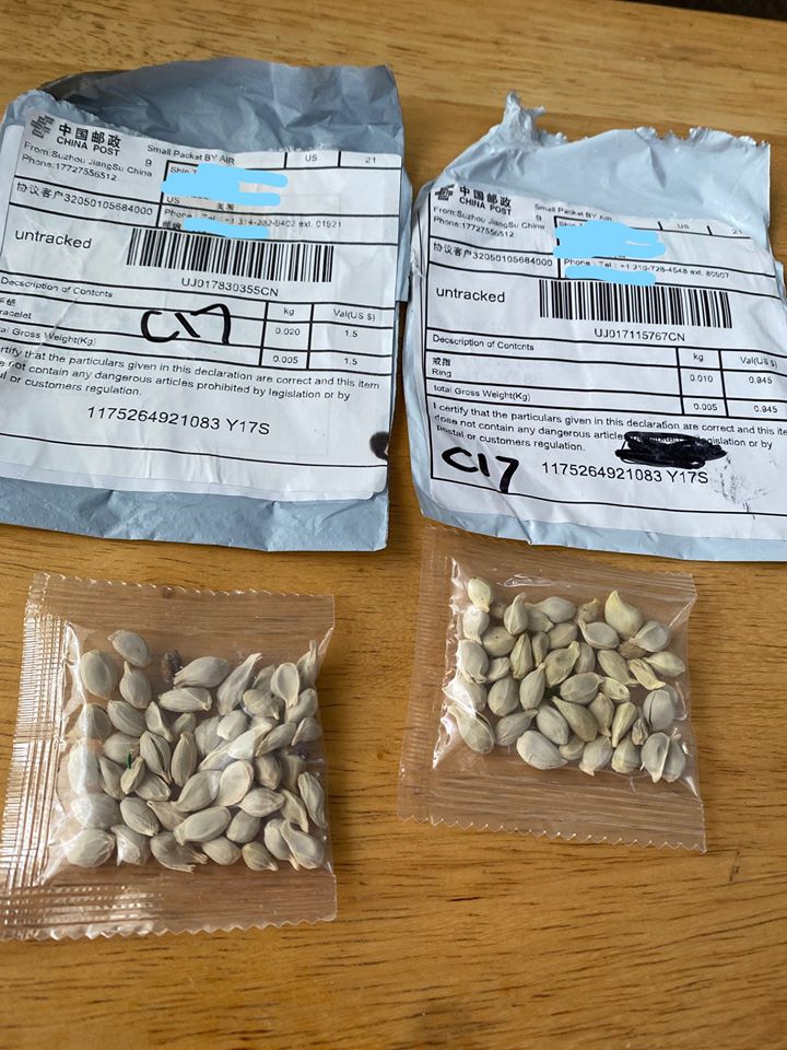 State agriculture department warns residents of unsolicited seeds from China