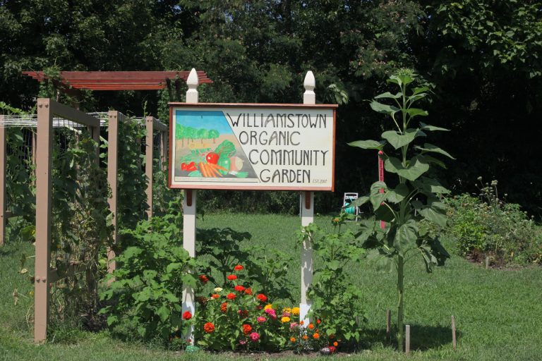 Williamstown Community Garden is alive and thriving