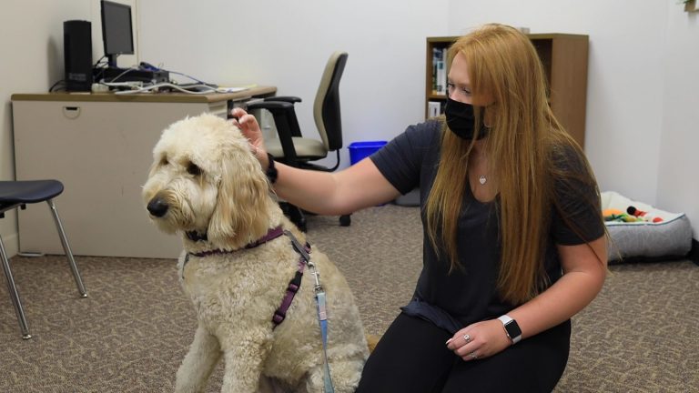 When students are struggling, therapy dog Penny is there