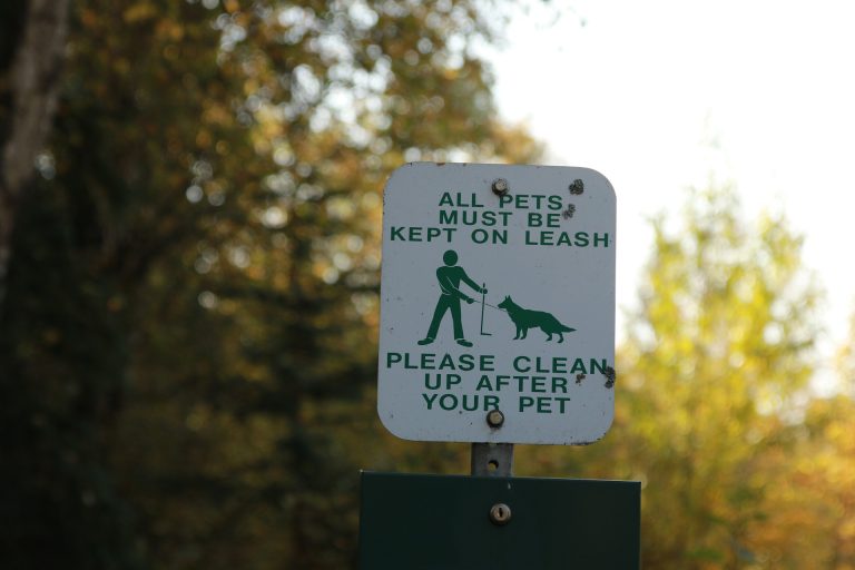 Dog ‘business’ on Pocahontas Trail property has resident questioning council
