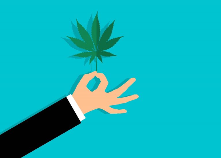 Marijuana legalization makes its way to the polls