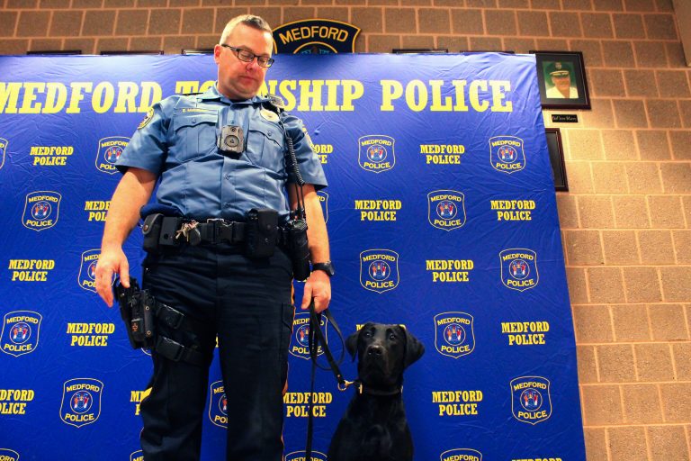 K9 addition to Medford police is the third dog in the department