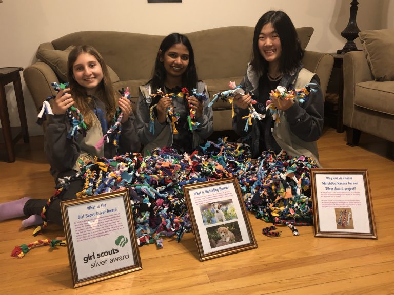 Cherry Hill Girl Scouts earn silver awards