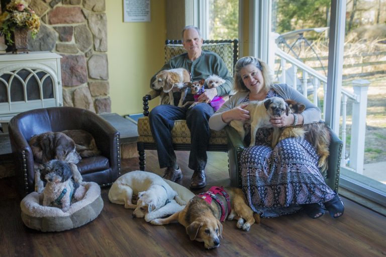 Monkey’s House is heaven on Earth for terminally ill dogs